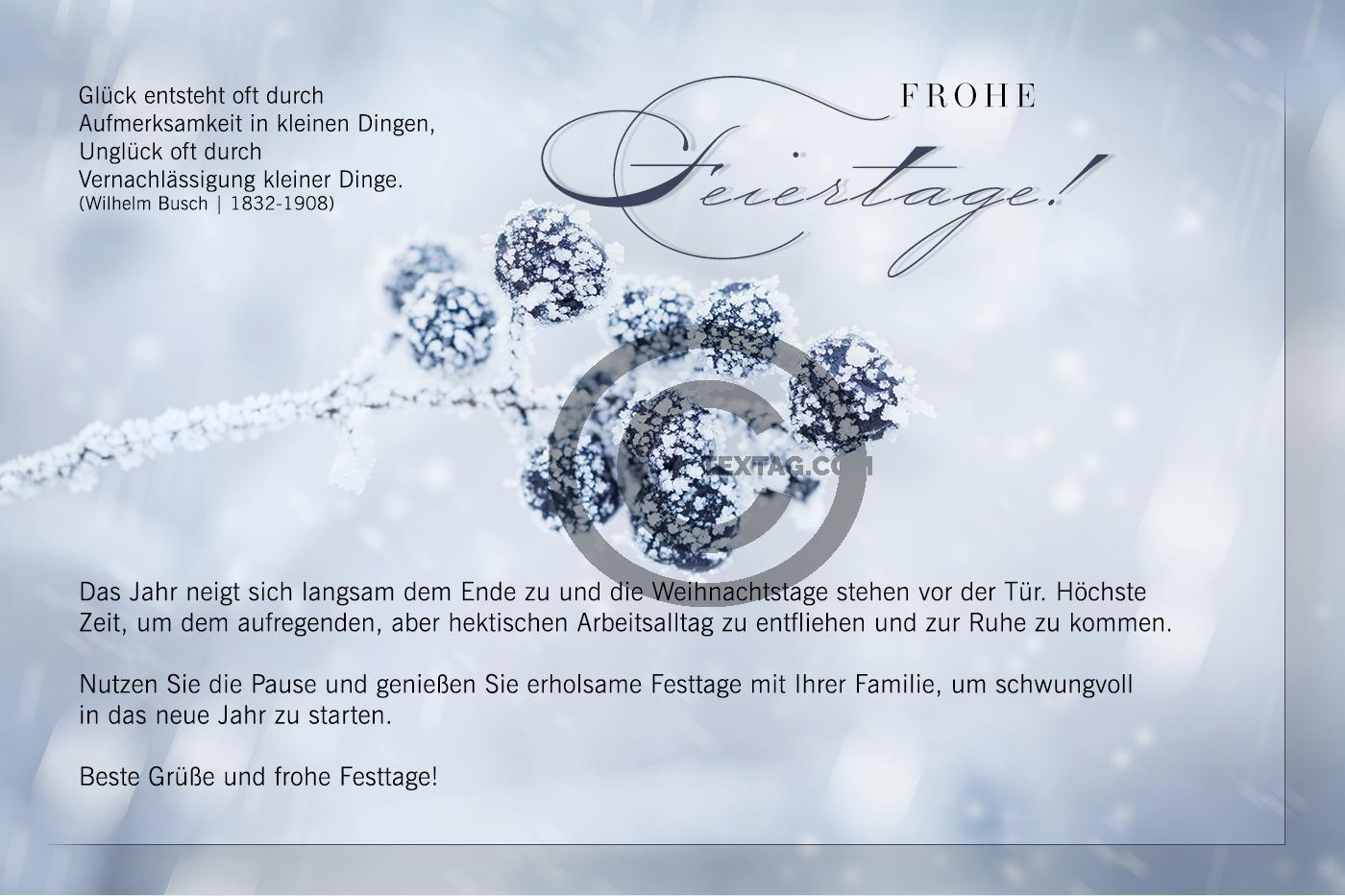 geschäftliche, winterliche Weihnachts E-Card in Pastellgrau mit Spruch, ohne Werbung (888) 
